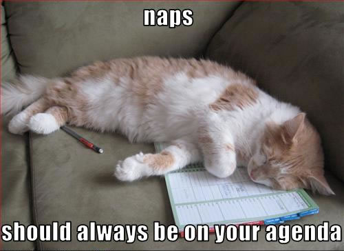 Naps are good