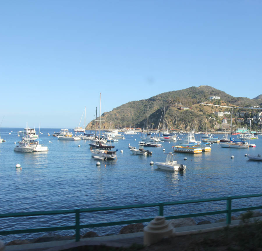 Catalina 3/24/2015 for our anniversary with the Finch's