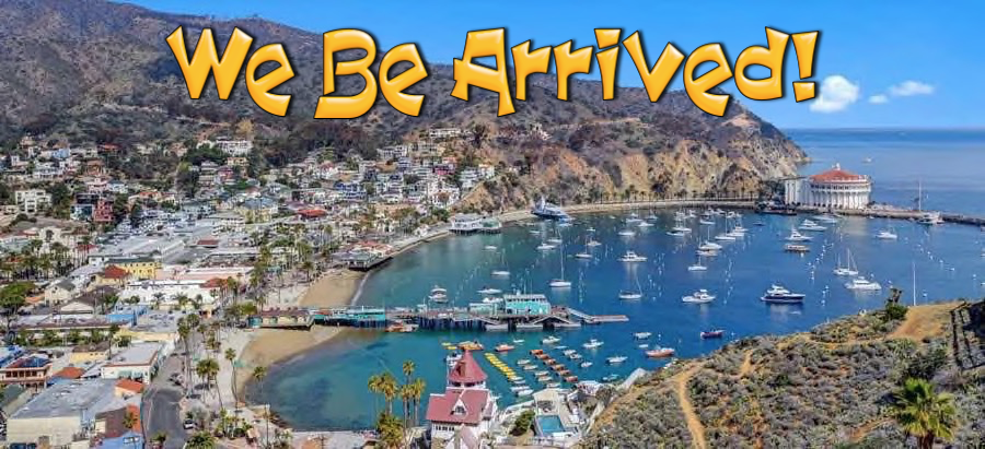 Anniversary trip to Catalina 3/24/2017