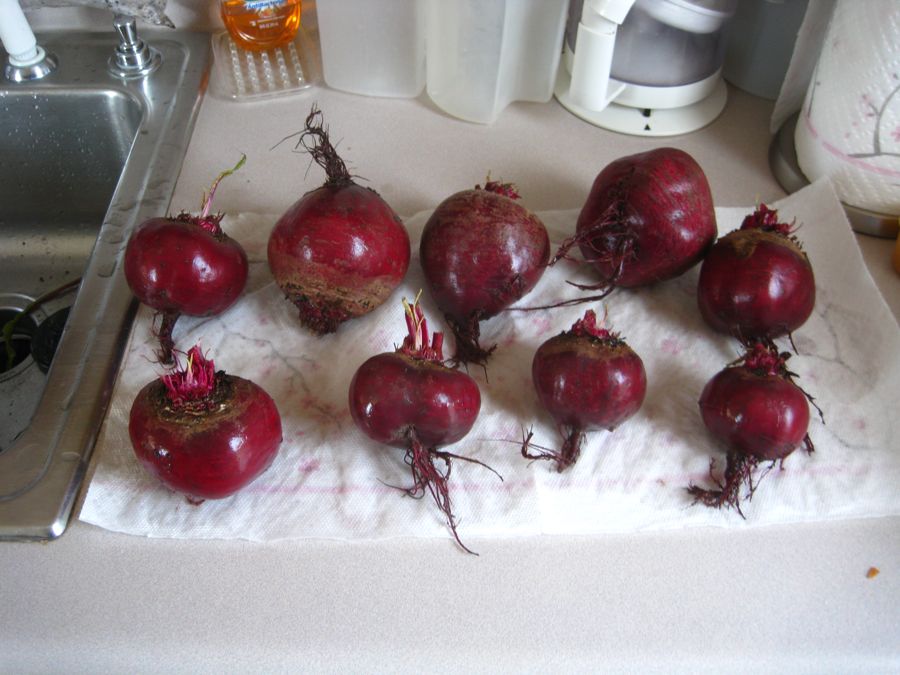 Roasting Beets