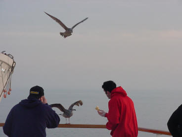 Family Vacation At Sea 2001