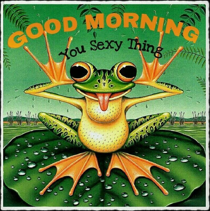  GM