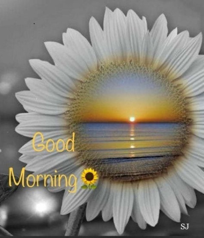 GM