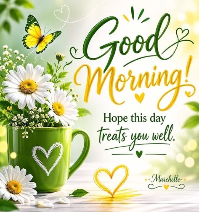 GM