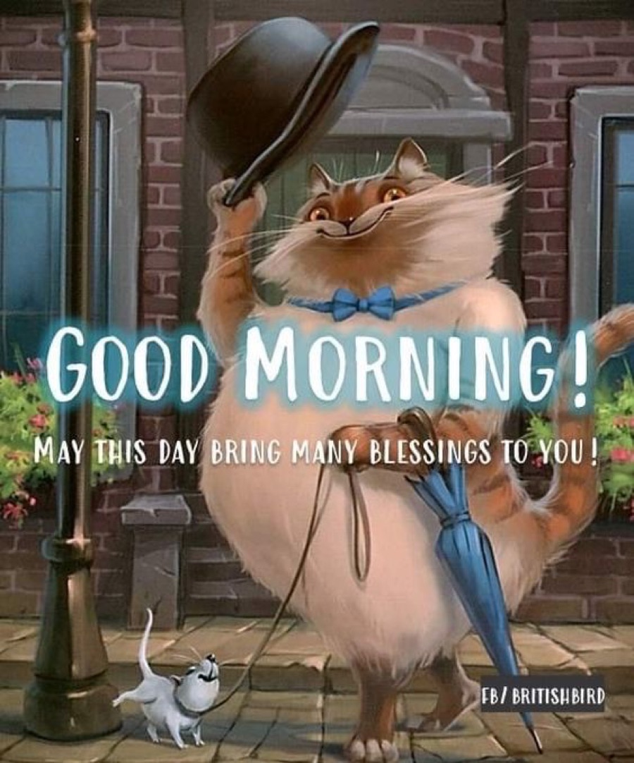 GM