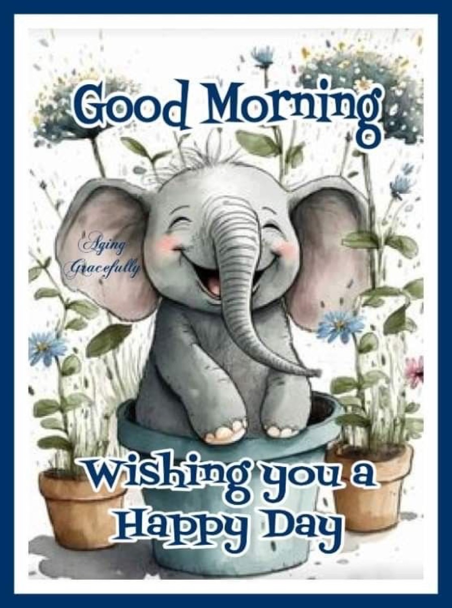 GM