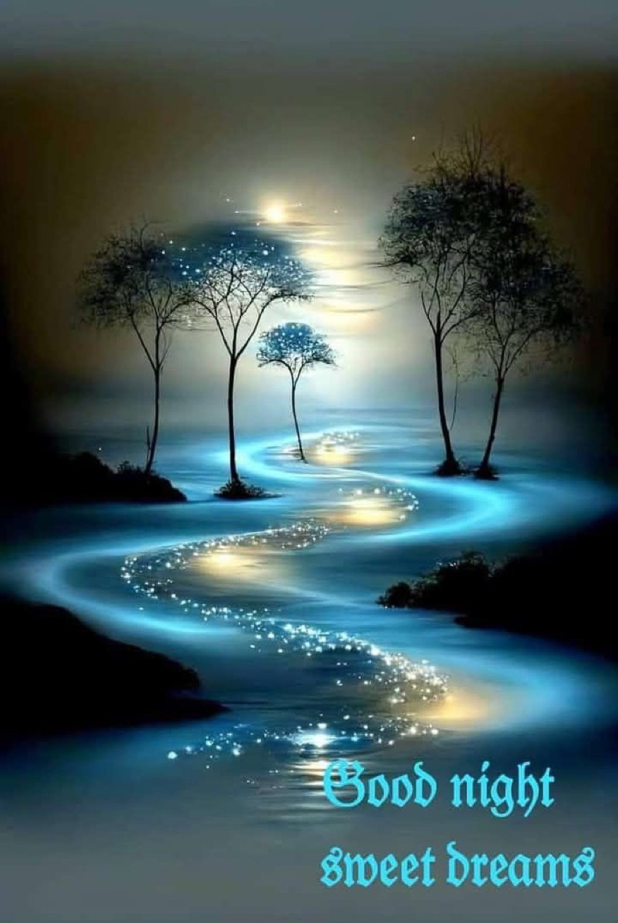  Good Night