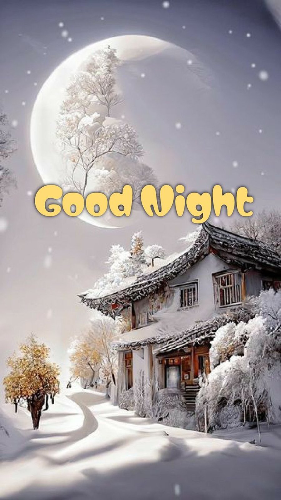  Good Night