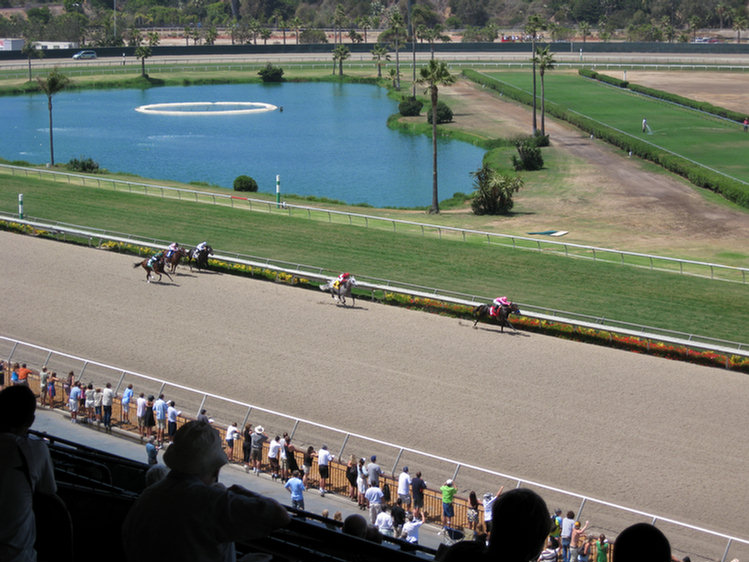 Del Mar Adventure 2008, at the races