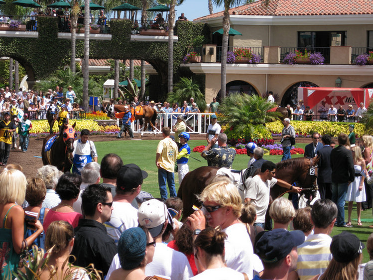 Del Mar Adventure 2008, at the races