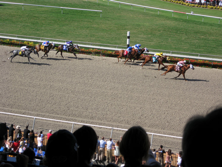 Del Mar Adventure 2008, at the races