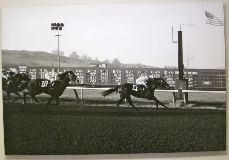 Del Mar races 2011