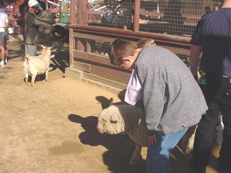 Knott's Berry Farm 2000