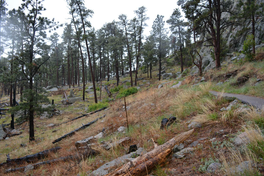 Kathy goes to the Devils Tower May 2015