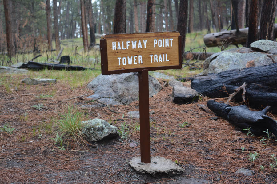 Kathy goes to the Devils Tower May 2015