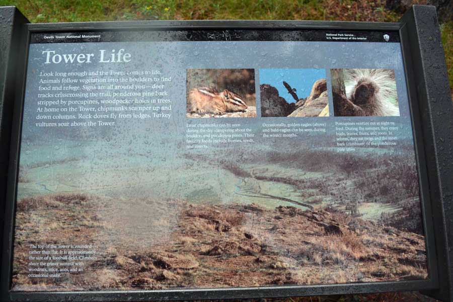 Kathy goes to the Devils Tower May 2015