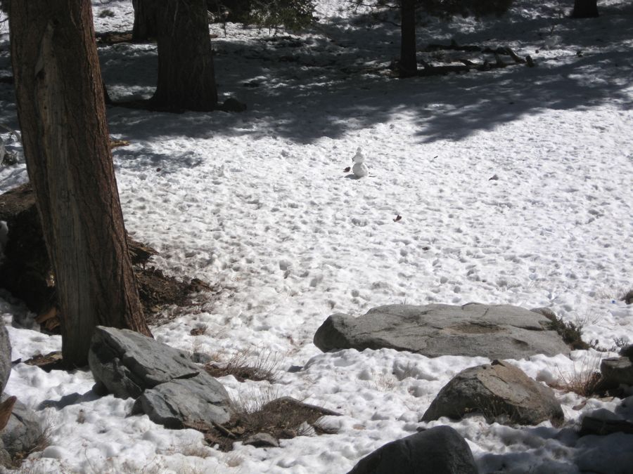 It's time to play in the snow abpve Palm Springs