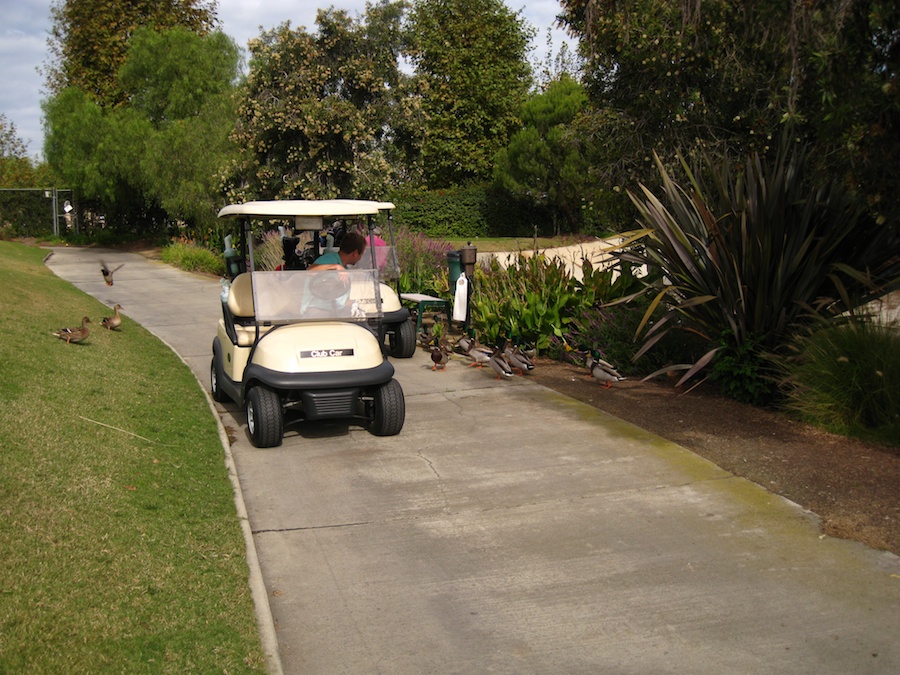 James makes a hole in one 11/16/2012