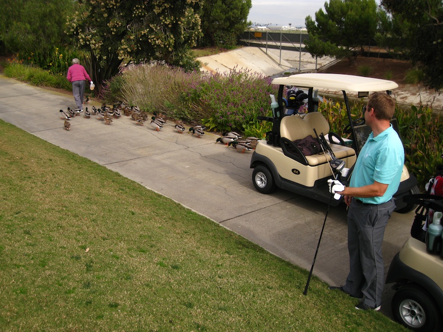 James makes a hole in one 11/16/2012