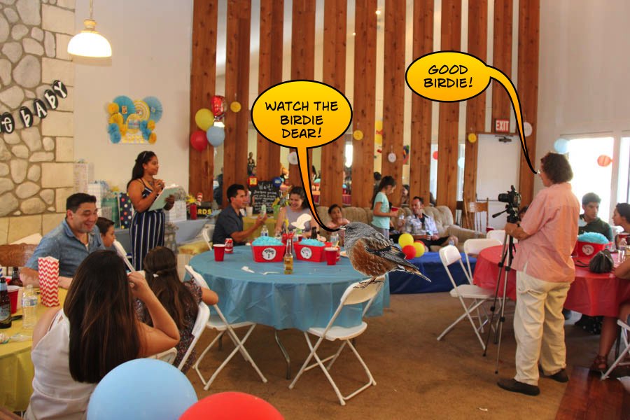 Master Alcalas Baby Shower 6/25/2017