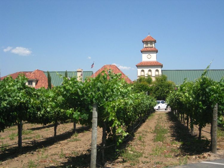 June 2010 Temecula Wine Adventure