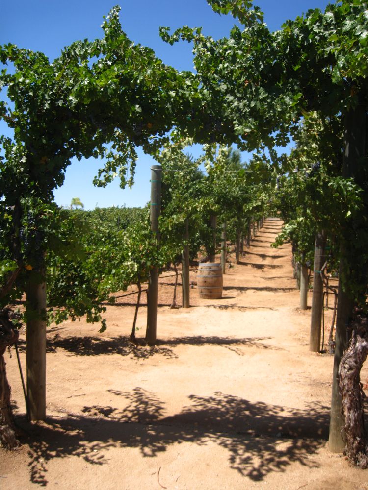 Wilson Creek at Temecula August 2010