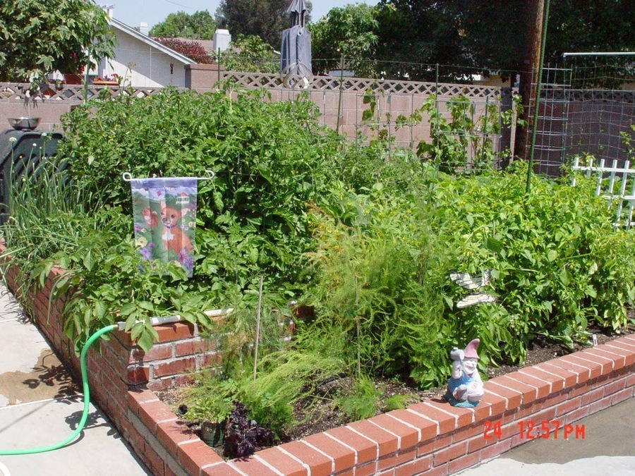 Garden 2004