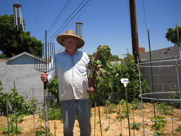 Garden May 2009