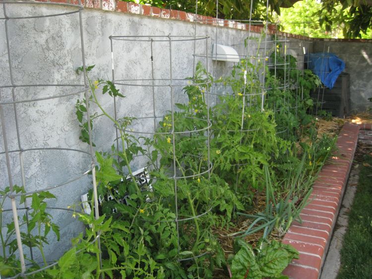 May 2010 Garden