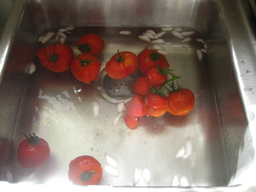 Making tomato sauce June 25th 2015