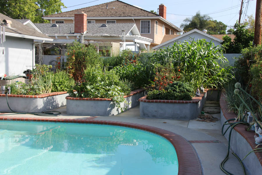 Paul and Sue's Vegetable Garden July 24th 2016