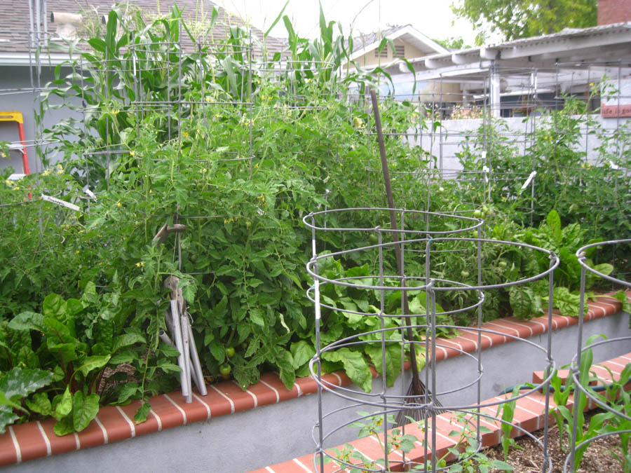 Early May 2017 in the garden