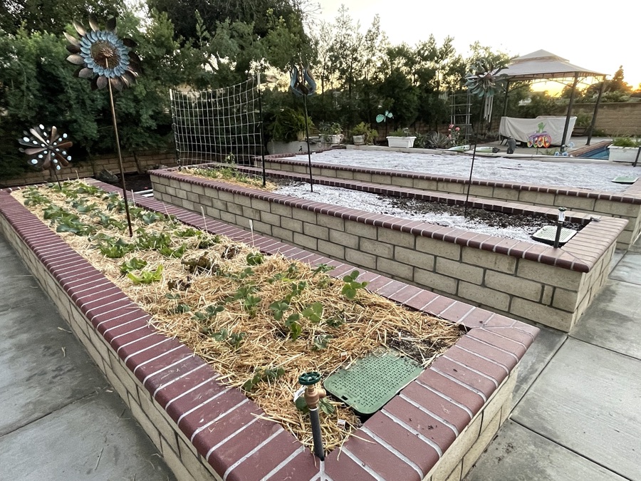 Mary & Paul's Casa Valencia Vegetable Garden being constructed