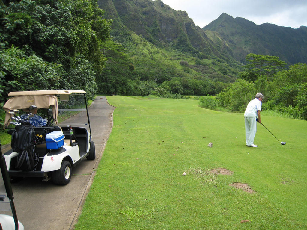 The Fairways Narrowed