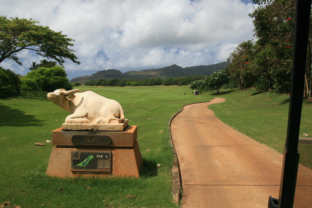 Stone Animals Named Every Hole