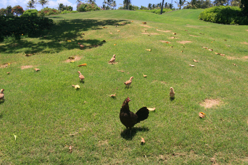 And Wildlife Greeted Us Quite Often