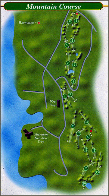 The Course