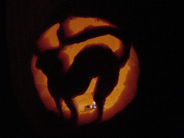Halloween 2001 Pumpkin Carving