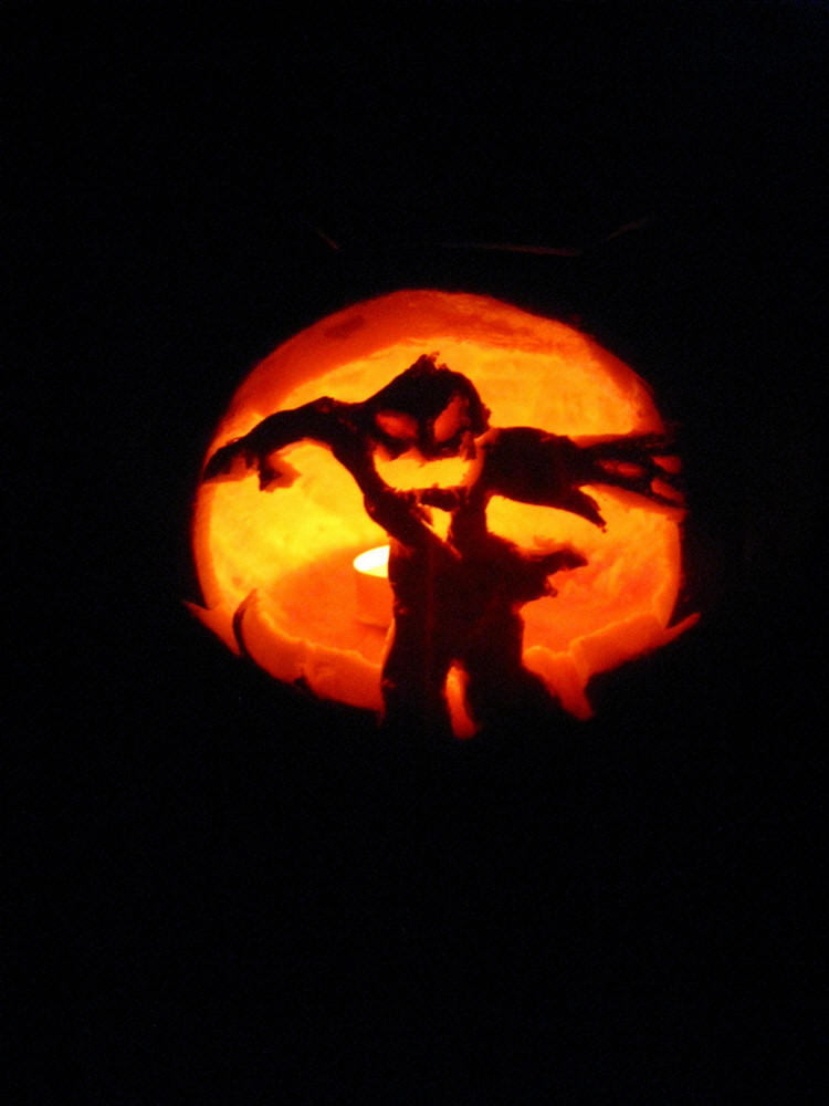 Pumpkin Carving 2009