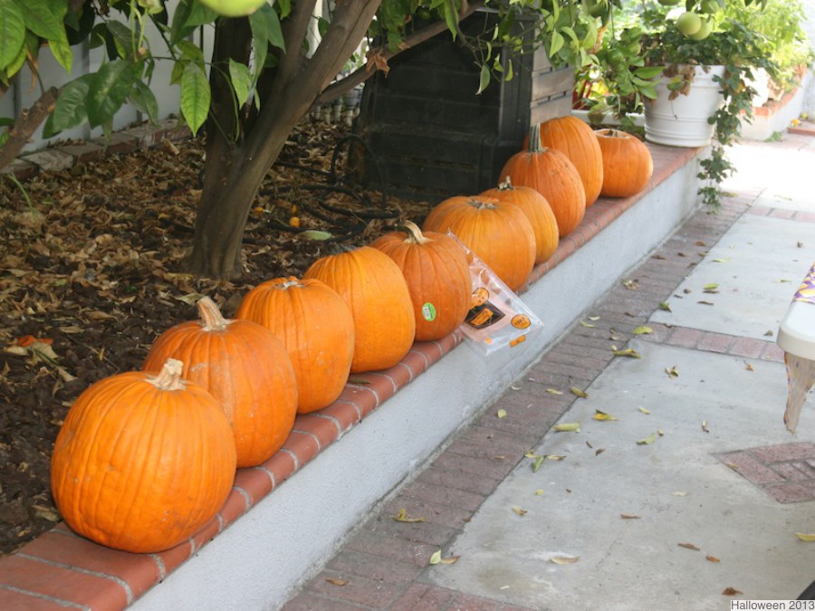 Pumpkin carving slideshow