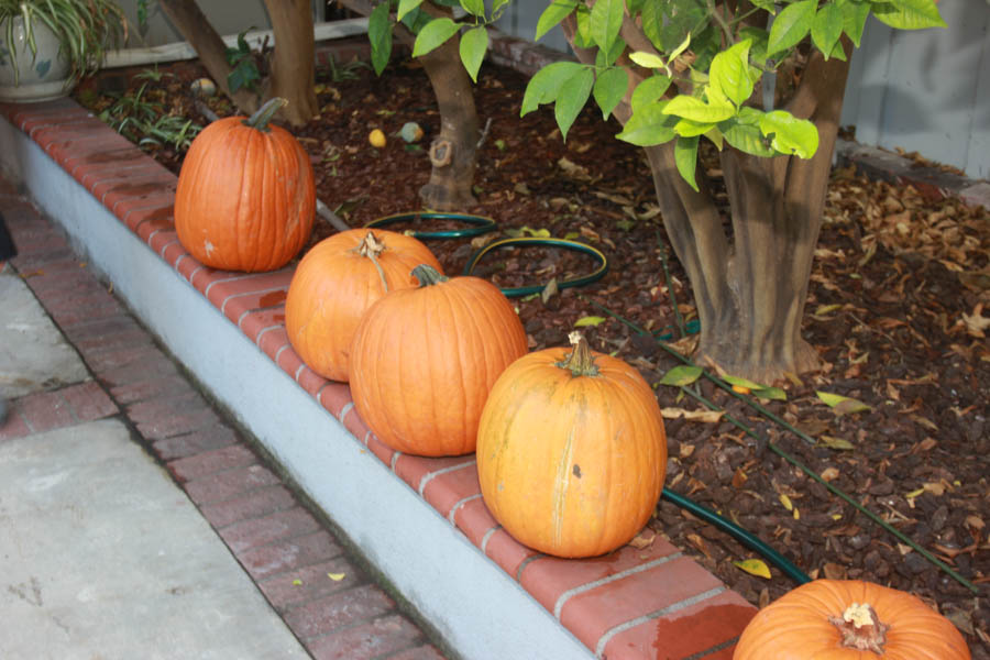 Pumpkin carving October 26th 2014 with family