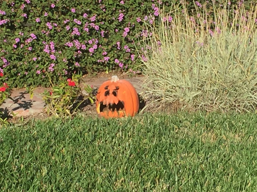 Walking is excellent exercise and the spooky things keep one moving!