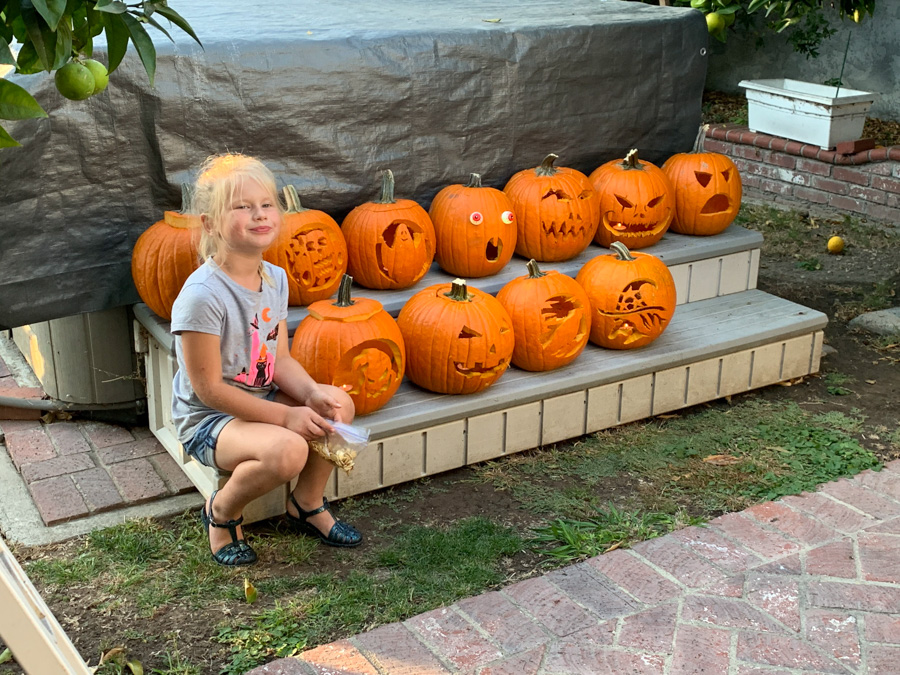 Carve those pumpkins October 26th 2019