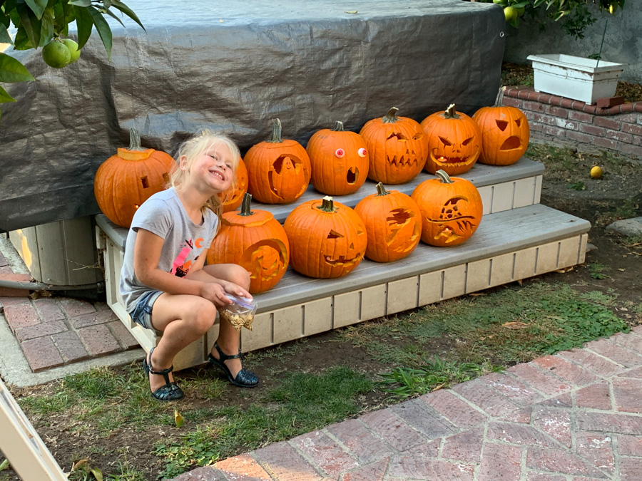 Carve those pumpkins October 26th 2019