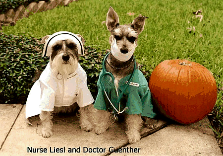 Doggies and Halloween