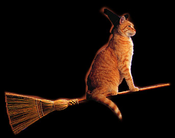 Cat On A Broom
