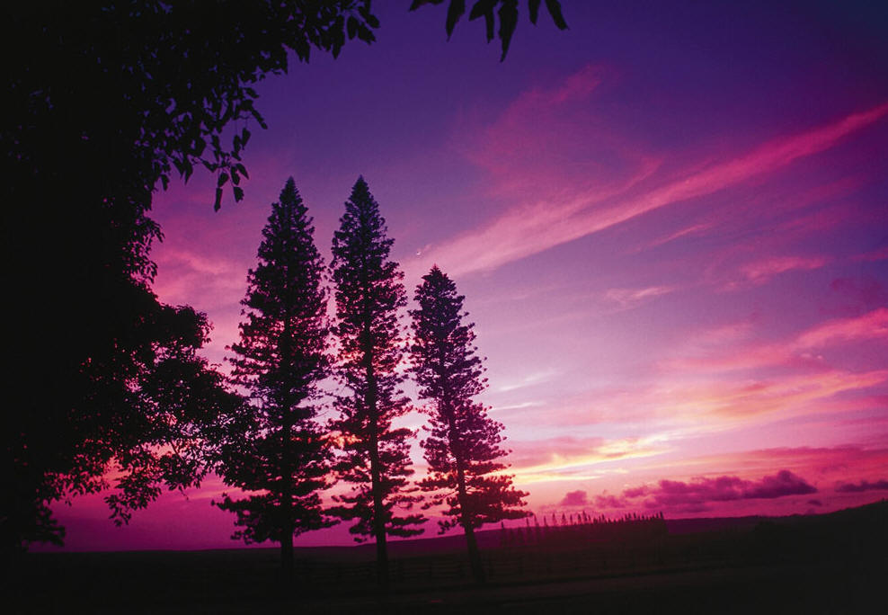 Beautiful Lanai at sunset