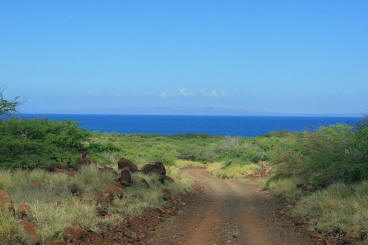 Lanai Vacation 2008 Day 2 Exploration In The Jeep