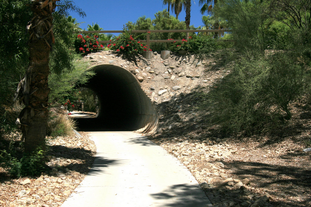 Arizona Biltmore Golf 2008