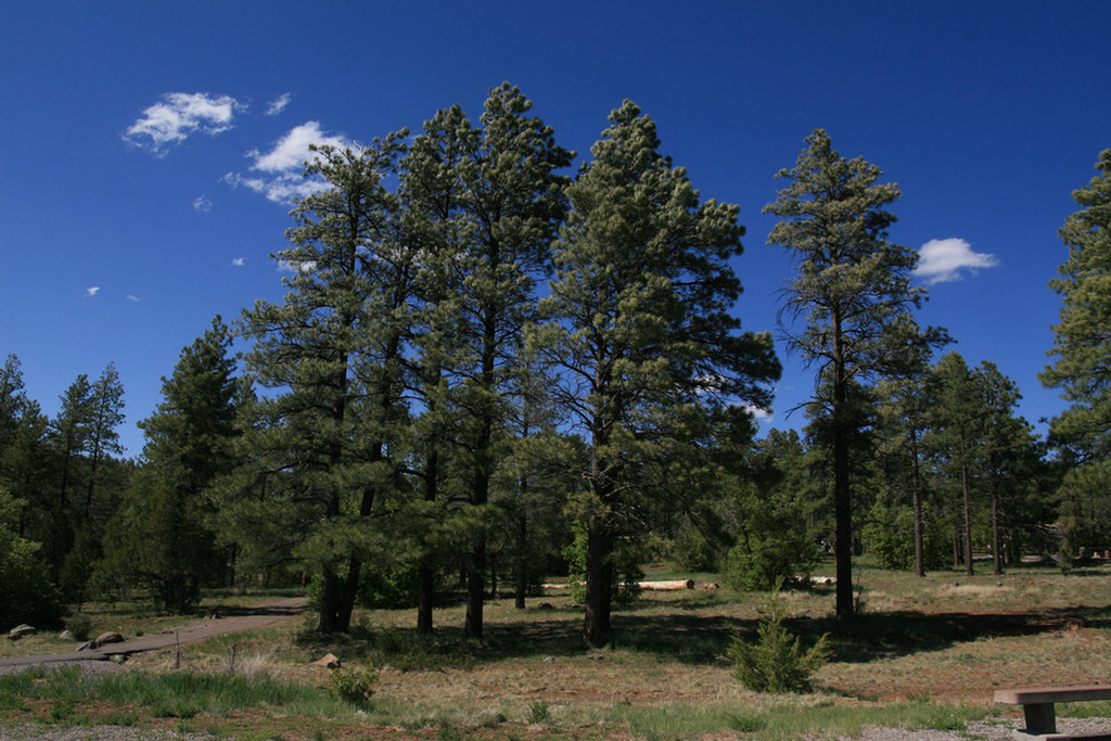 On our way to Sedona 2008